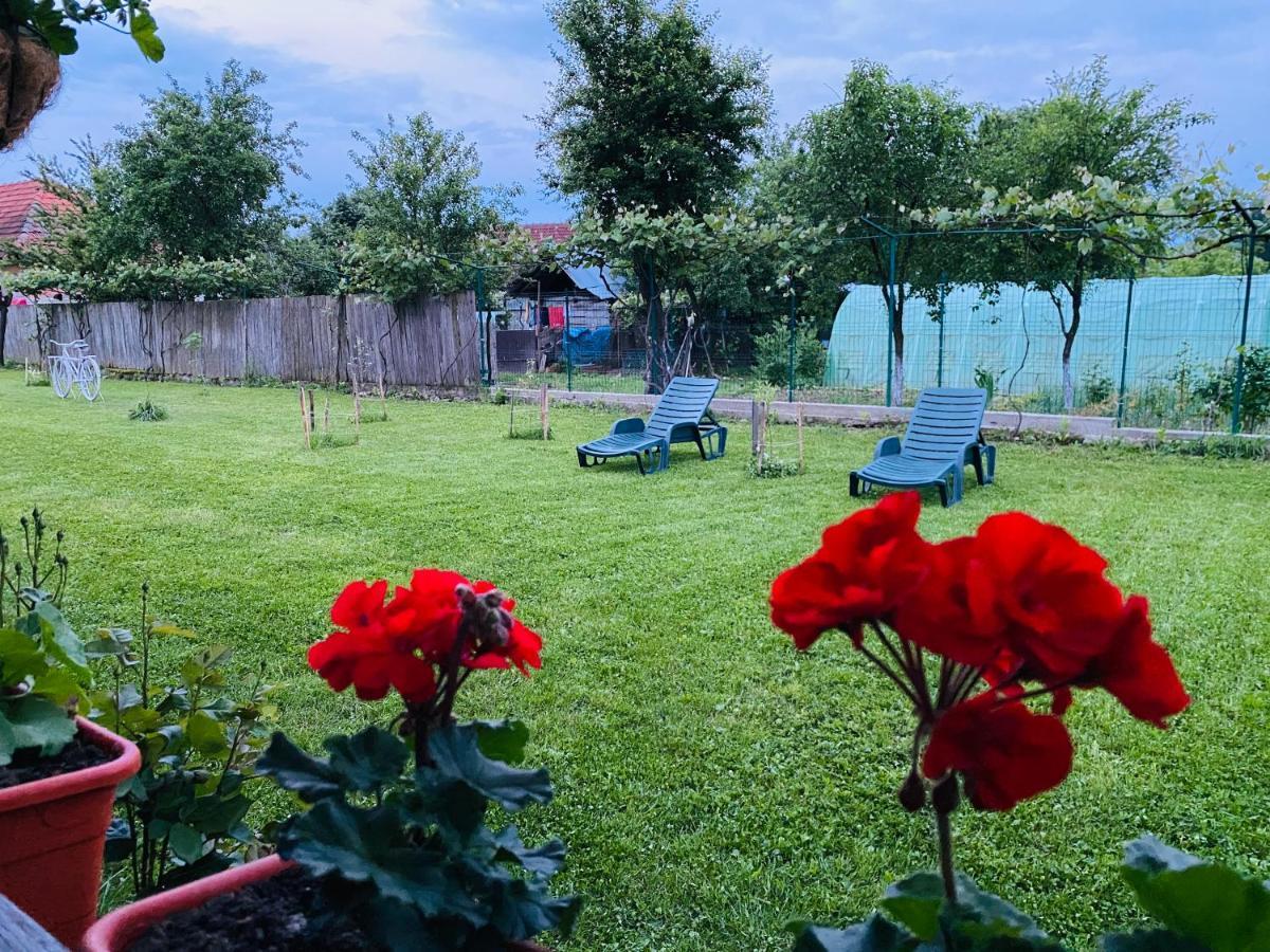 רונקו Serenity Garden Villa מראה חיצוני תמונה
